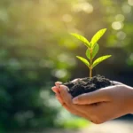 Sustainable Living How to Adopt an Eco-Friendly Lifestyle